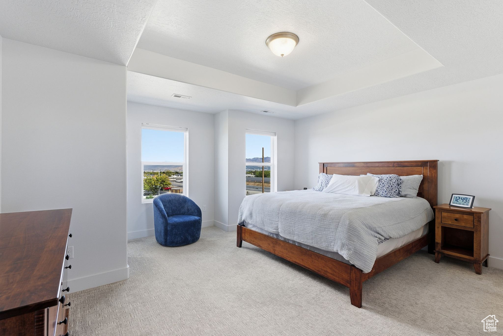 Photo 17 for MLS #2117826 at 3838 W Kinglassie Ln