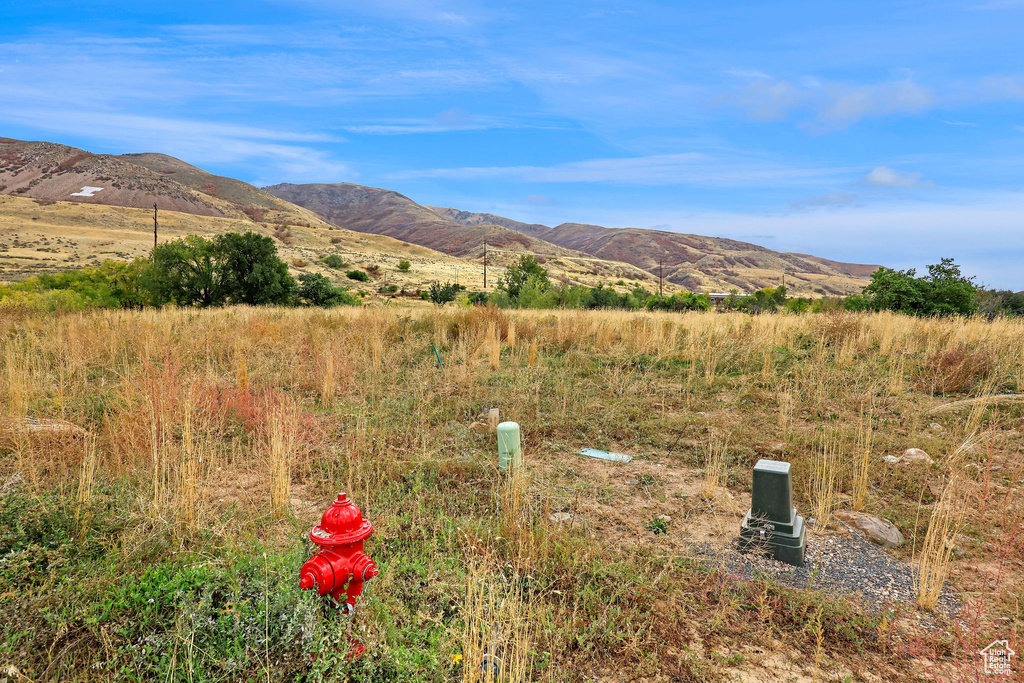 384 E SKYLINE Brigham City, UT 84302