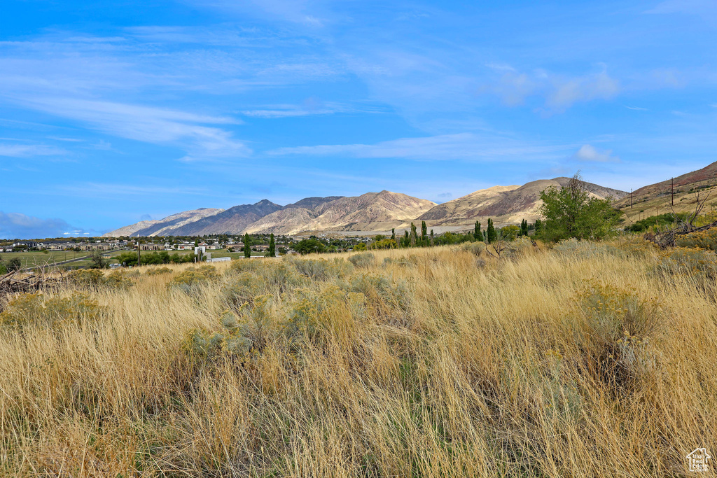 384 E SKYLINE Brigham City, UT 84302