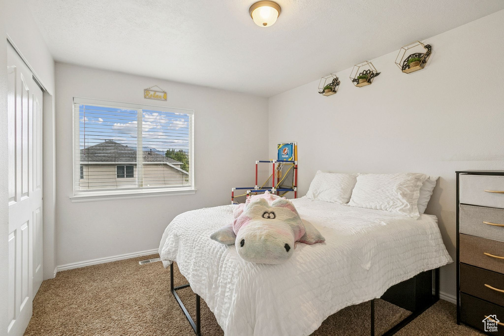 Photo 22 for MLS #2117870 at 7071 S Kristilyn Ln