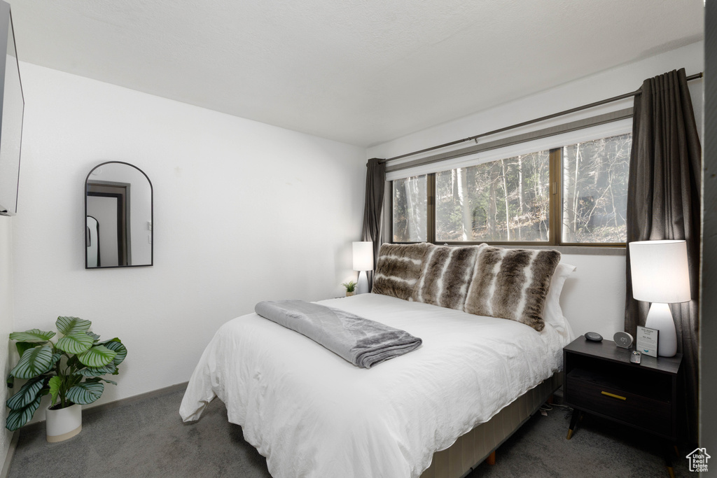226 S HIGHWAY 143 #F2 Brian Head, UT 84719