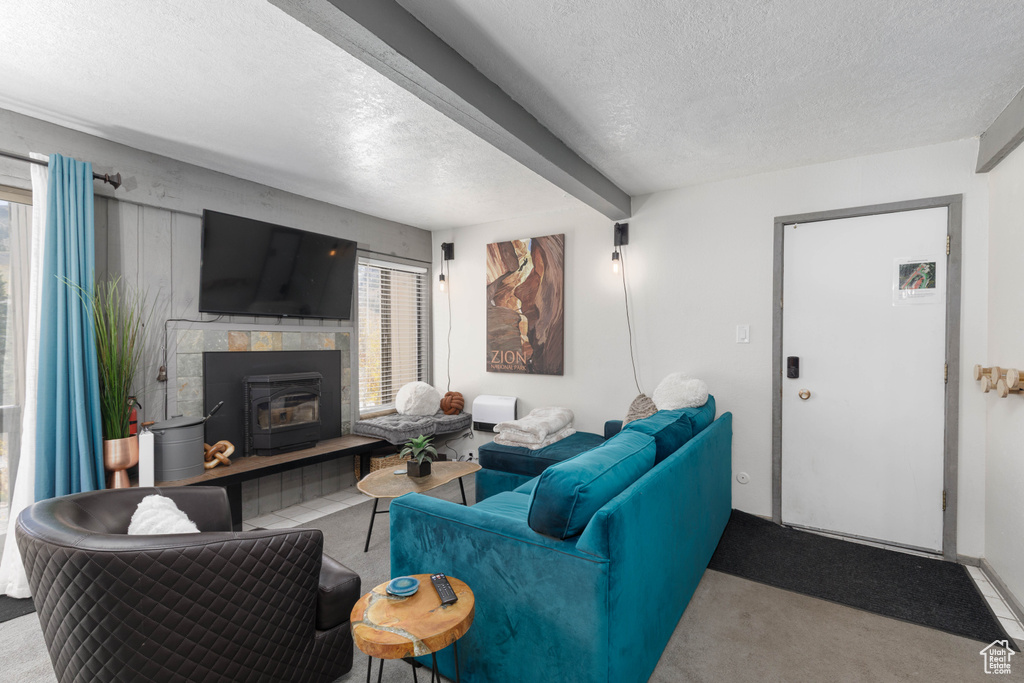 226 S HIGHWAY 143 #F2 Brian Head, UT 84719