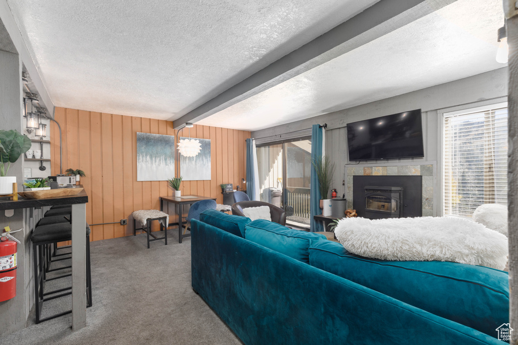 226 S HIGHWAY 143 #F2 Brian Head, UT 84719