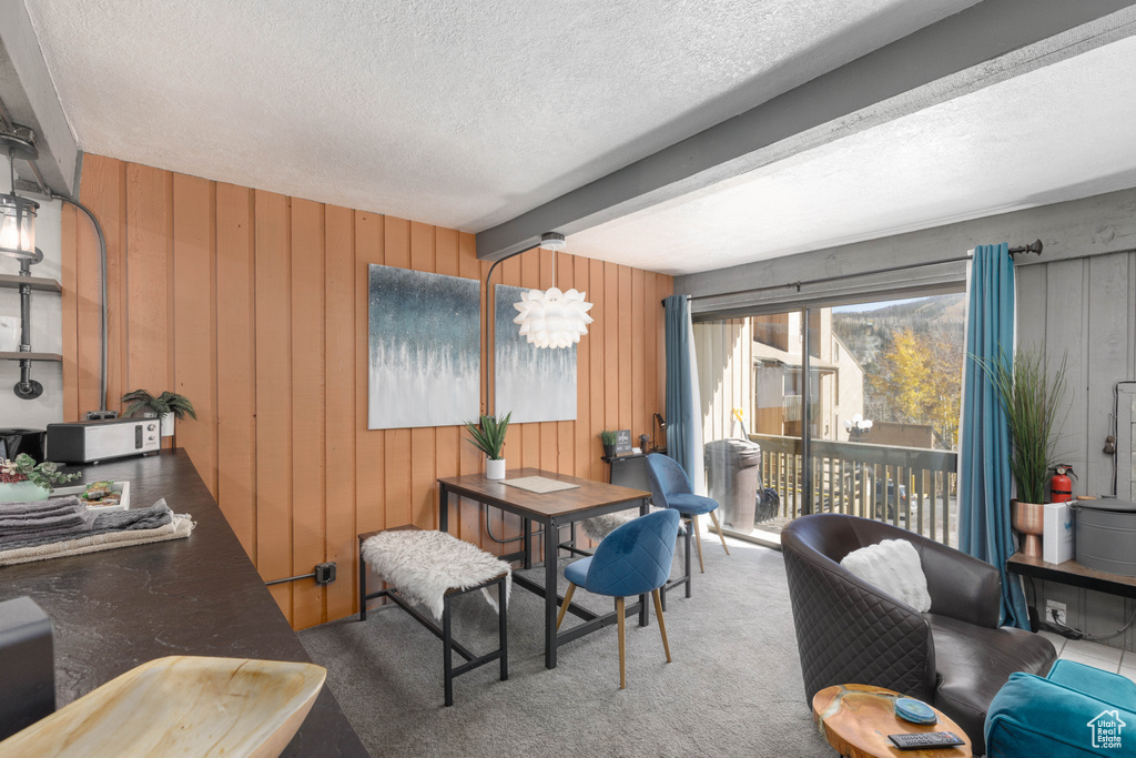 226 S HIGHWAY 143 #F2 Brian Head, UT 84719