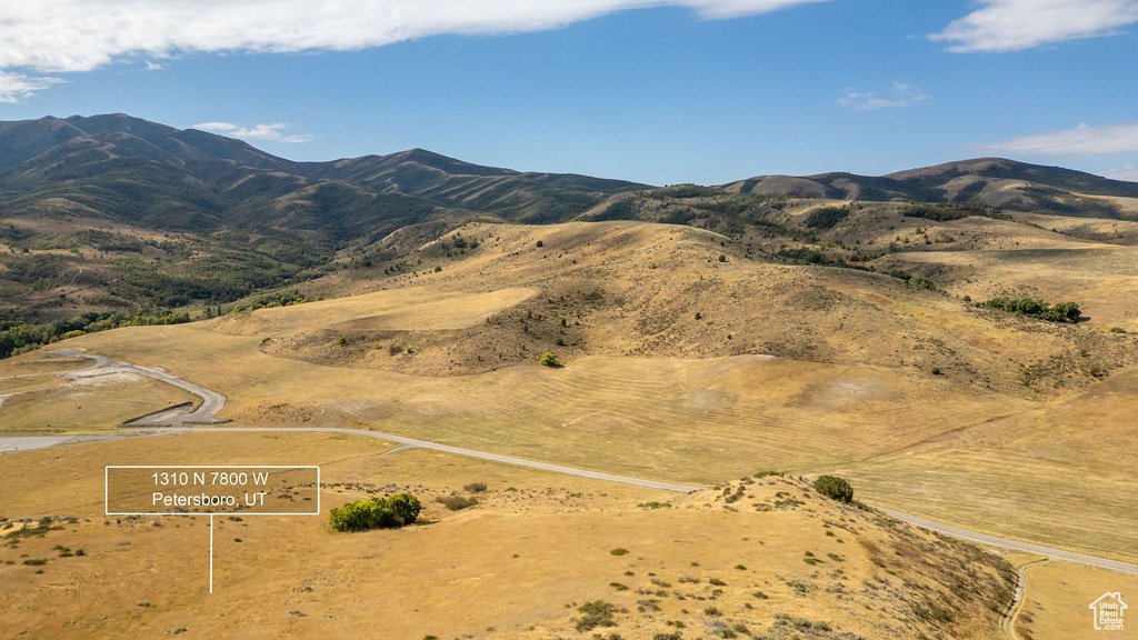1310 N 7800 W Petersboro, UT 84325