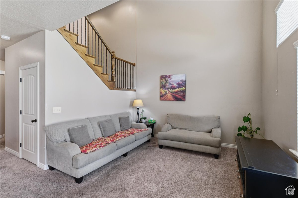 Photo 8 for MLS #2117893 at 10459 S Sage Wood Way