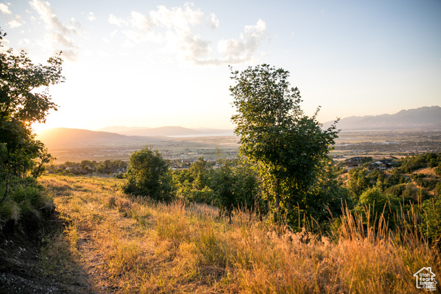 1043 S SUMMIT DR Woodland Hills, UT 84653