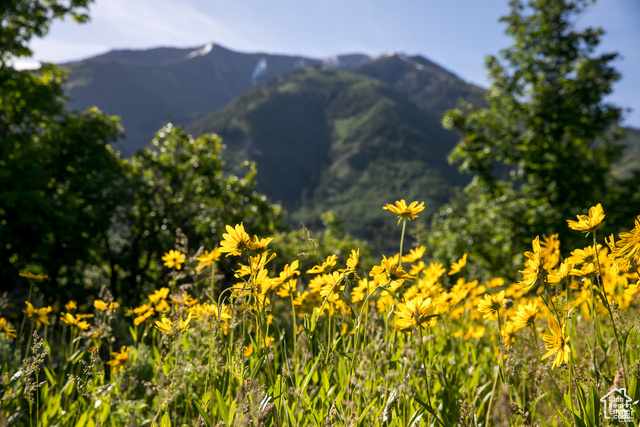 1043 S SUMMIT DR Woodland Hills, UT 84653