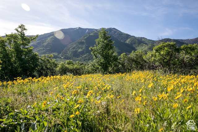 1031 S SUMMIT DR Woodland Hills, UT 84653