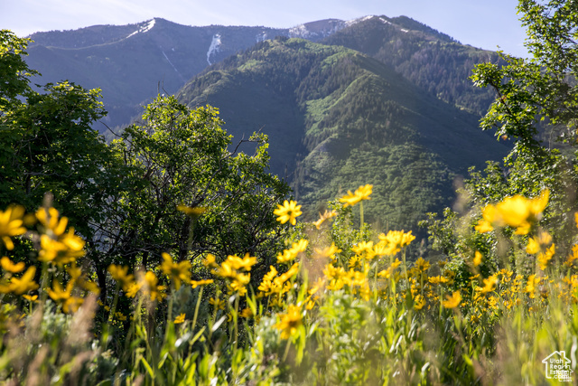 1031 S SUMMIT DR Woodland Hills, UT 84653