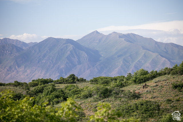 1031 S SUMMIT DR Woodland Hills, UT 84653