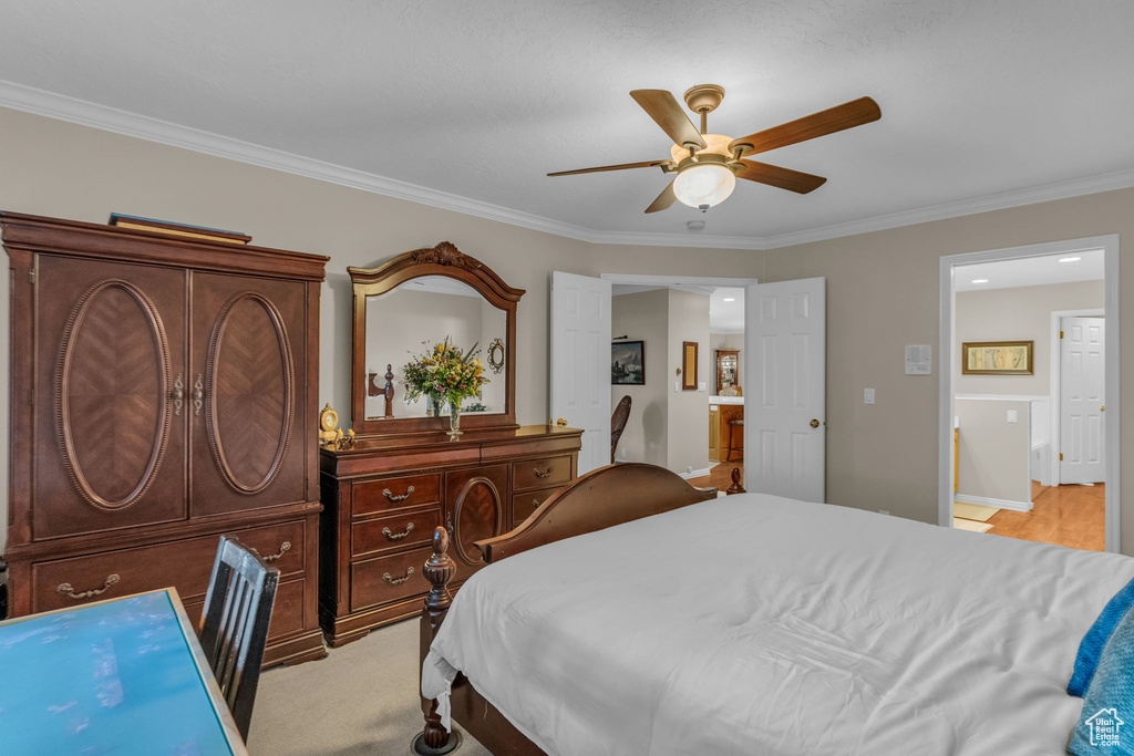 Photo 16 for MLS #2117927 at 10164 S Cornerstone Dr