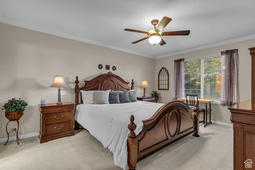 Photo 14 for MLS #2117927 at 10164 S Cornerstone Dr