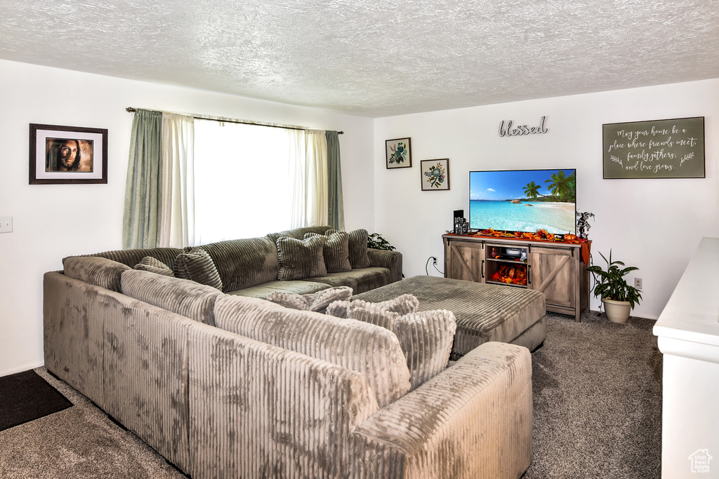 Photo 2 for MLS #2117934 at 1003 Flamingo St