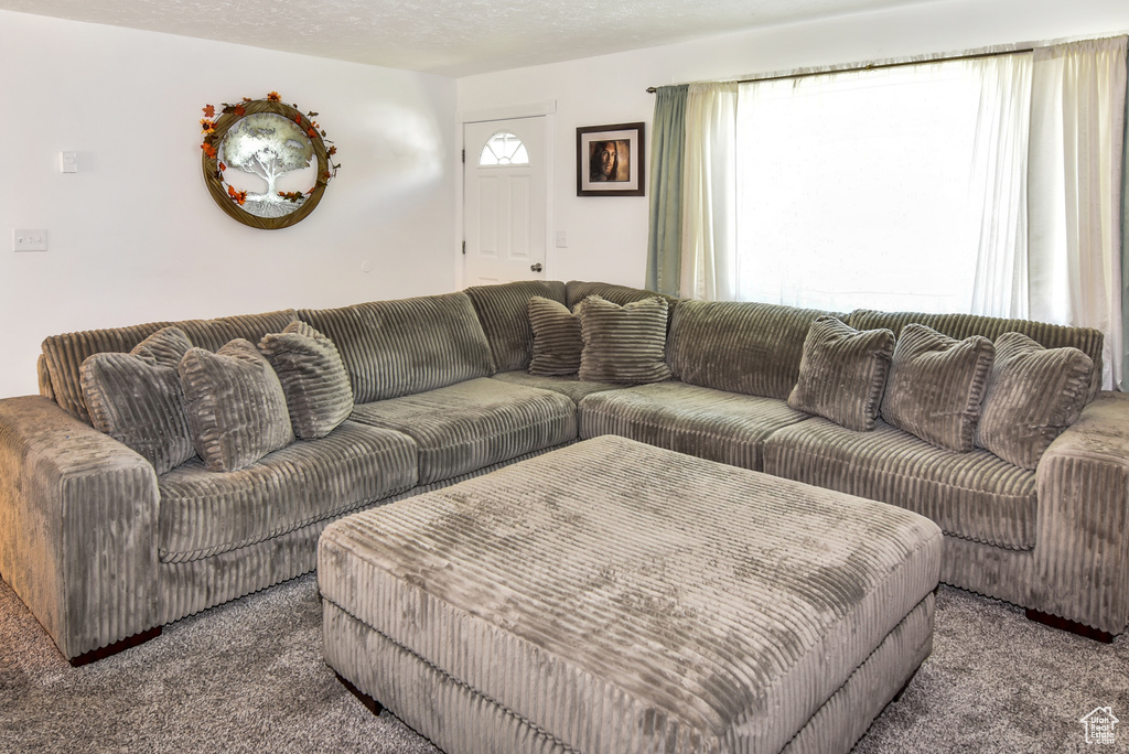 Photo 3 for MLS #2117934 at 1003 Flamingo St