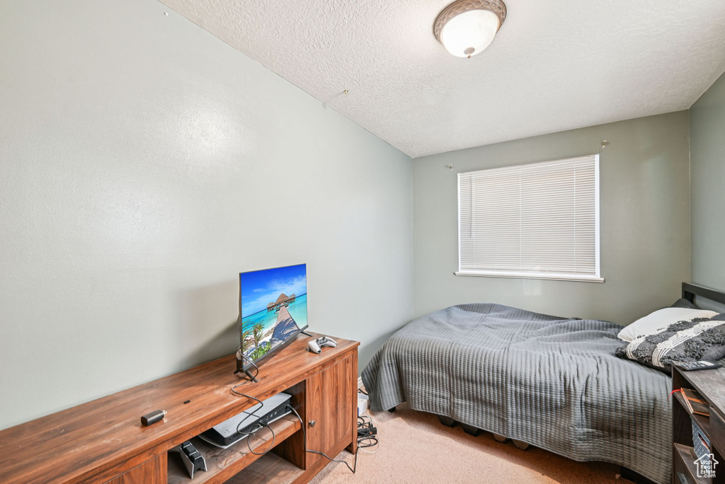 Photo 24 for MLS #2117942 at 10820 S 800 East
