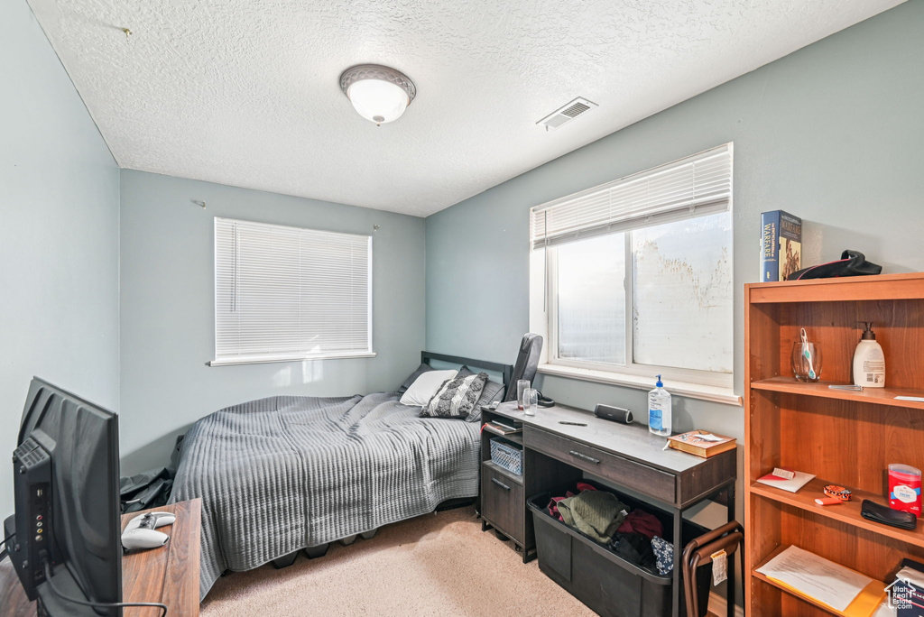 Photo 23 for MLS #2117942 at 10820 S 800 East