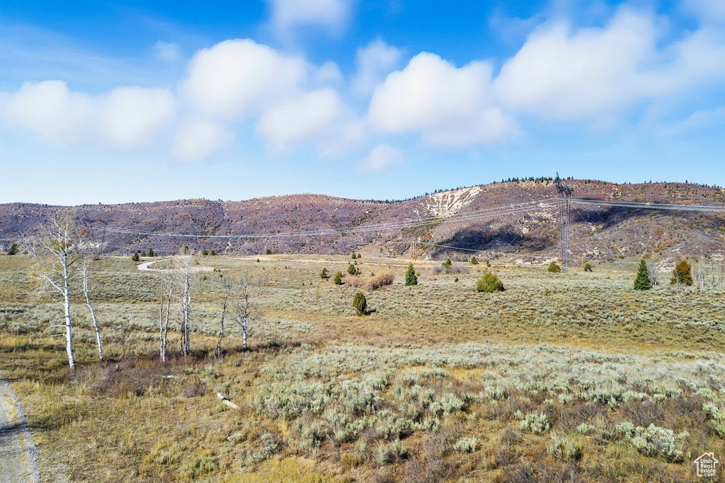 22991 E ALTA DR Spanish Fork, UT 84660