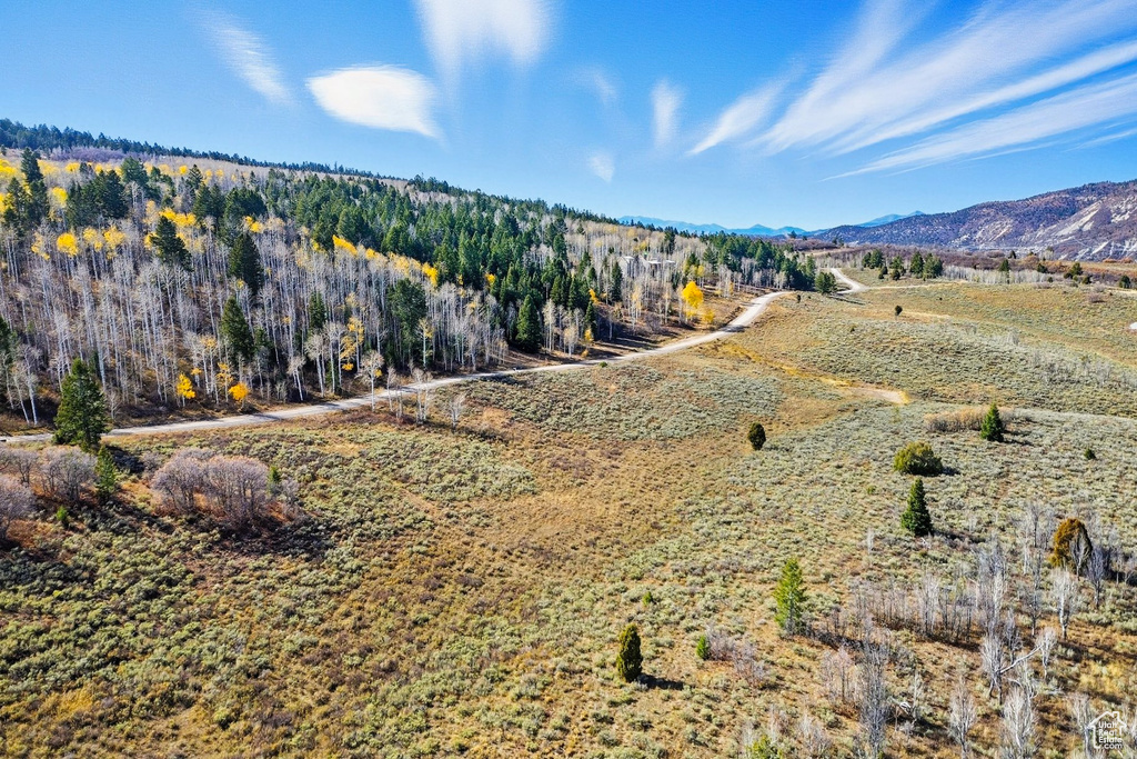 22991 E ALTA DR Spanish Fork, UT 84660