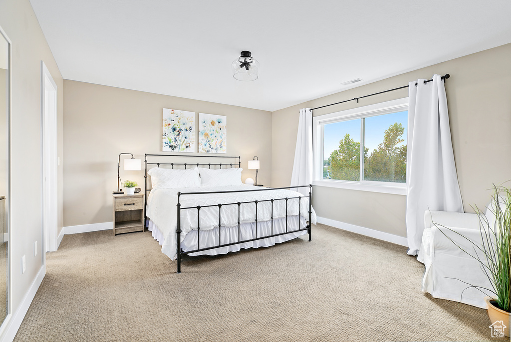 Photo 21 for MLS #2117990 at 13128 S Day Meadow Dr