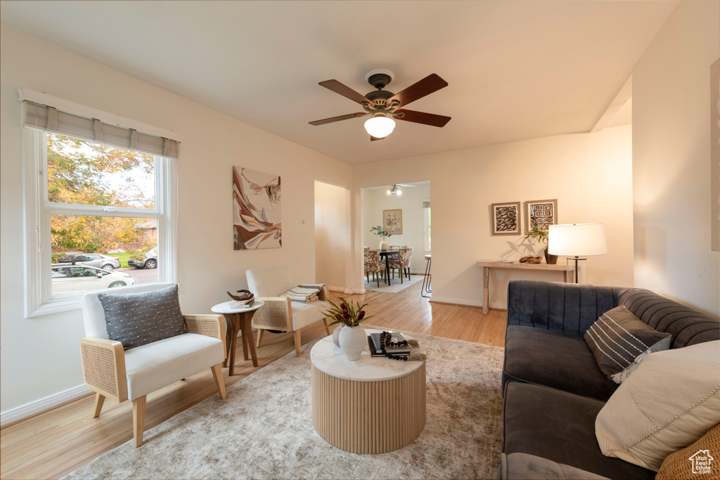 Photo 6 for MLS #2118017 at 356 E Williams Ave