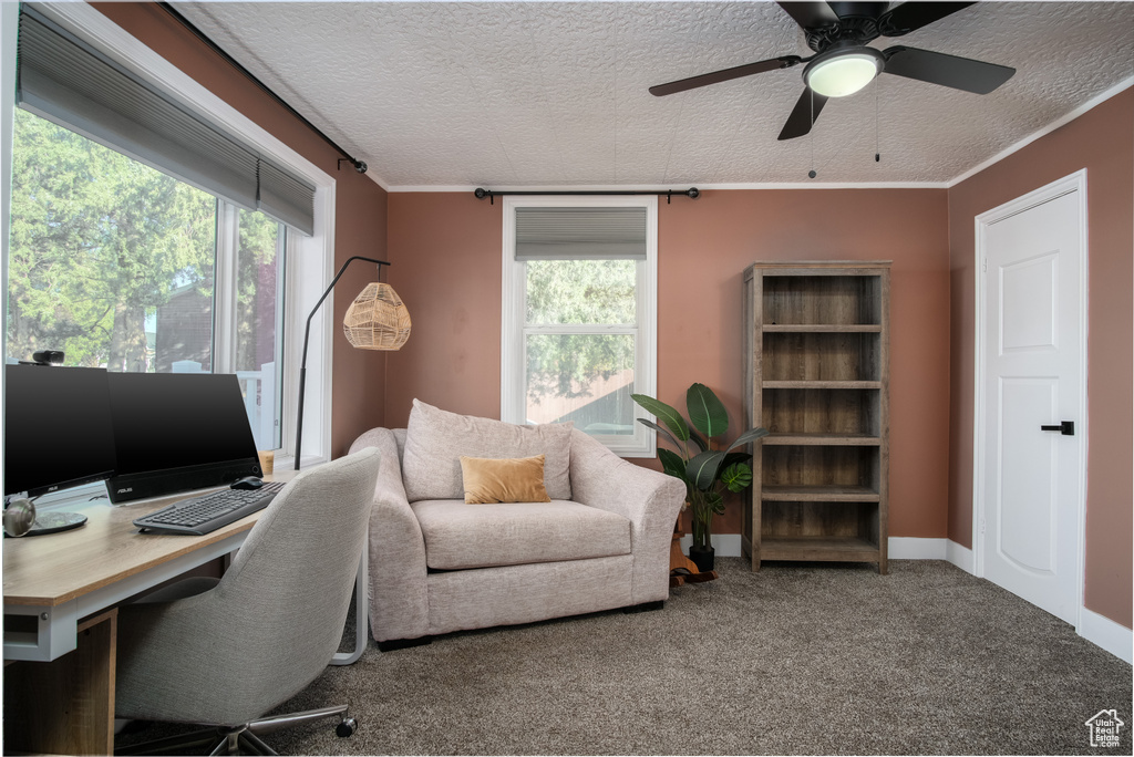Photo 6 for MLS #2118019 at 557 S Angel St