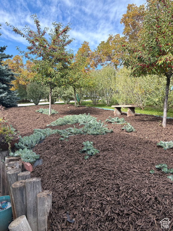 2594 JONI DR Layton, UT 84040