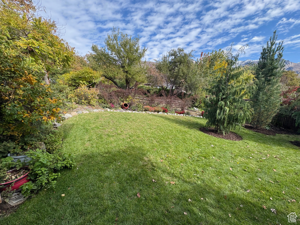 2594 JONI DR Layton, UT 84040