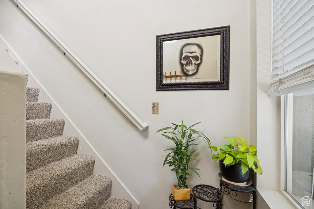 2448 S ANDOVER ST #333 West Haven, UT 84401