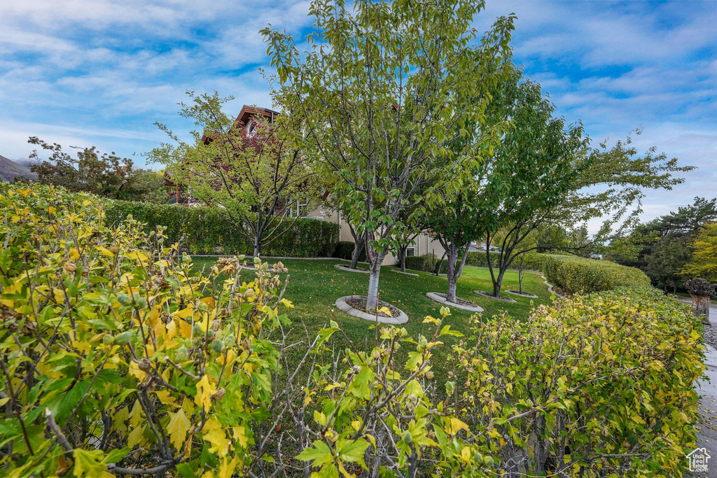 Photo 71 for MLS #2118070 at 8504 S Kings Hill Dr