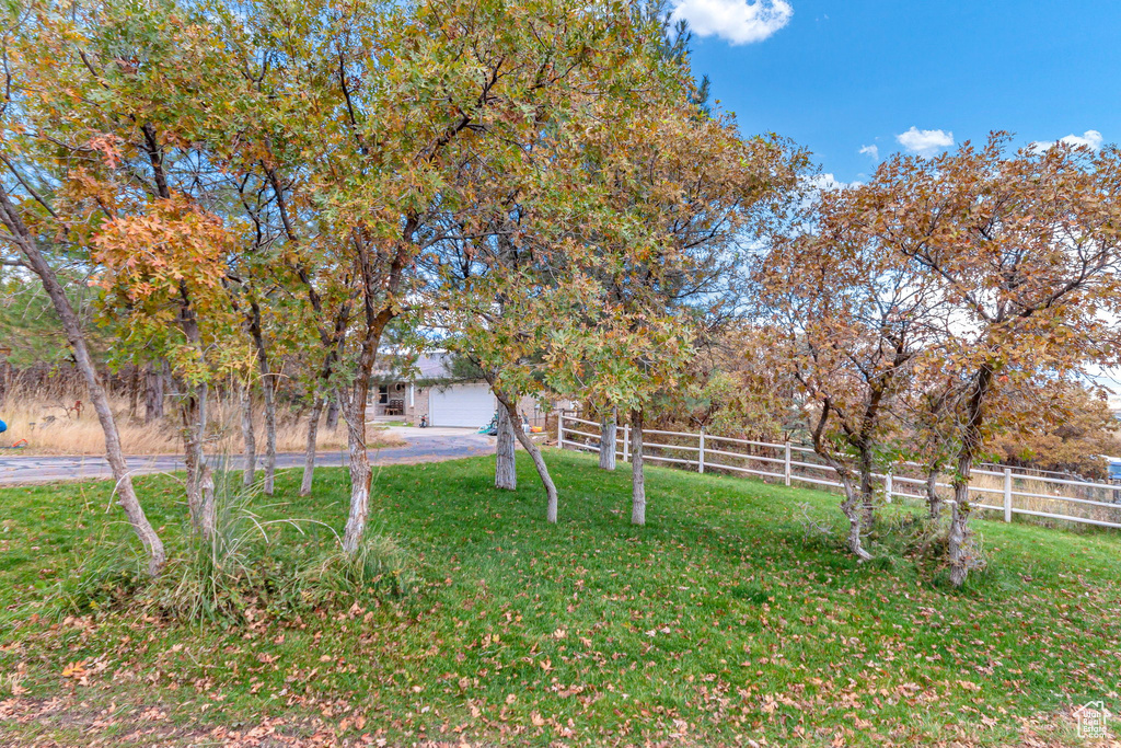Photo 49 for MLS #2118076 at 195 S Oak Dr