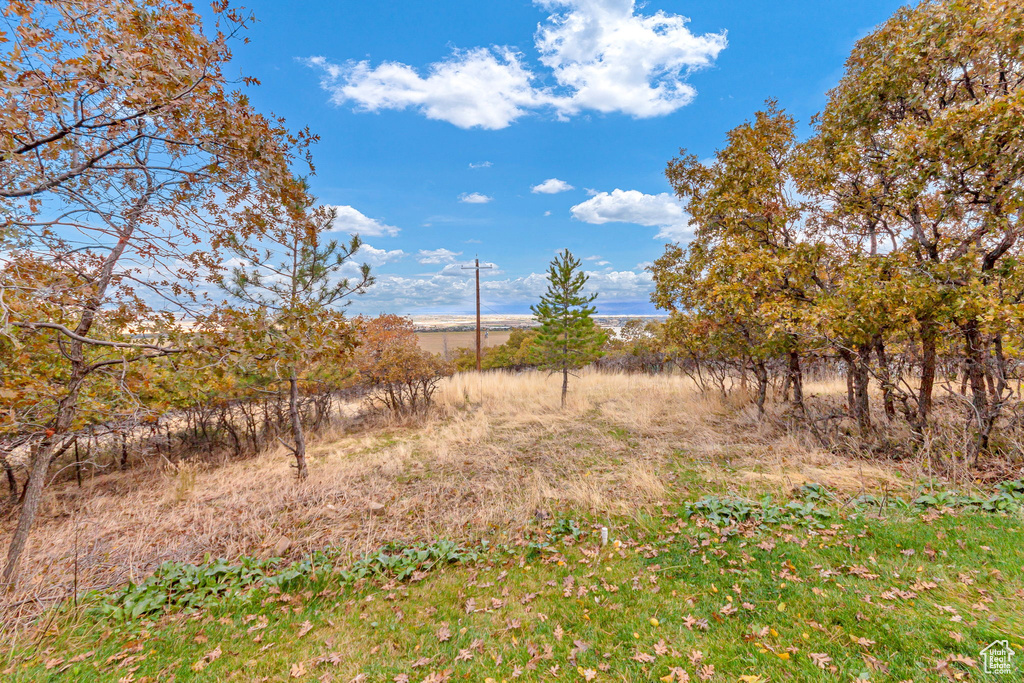 Photo 46 for MLS #2118076 at 195 S Oak Dr