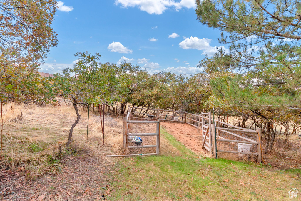 Photo 44 for MLS #2118076 at 195 S Oak Dr