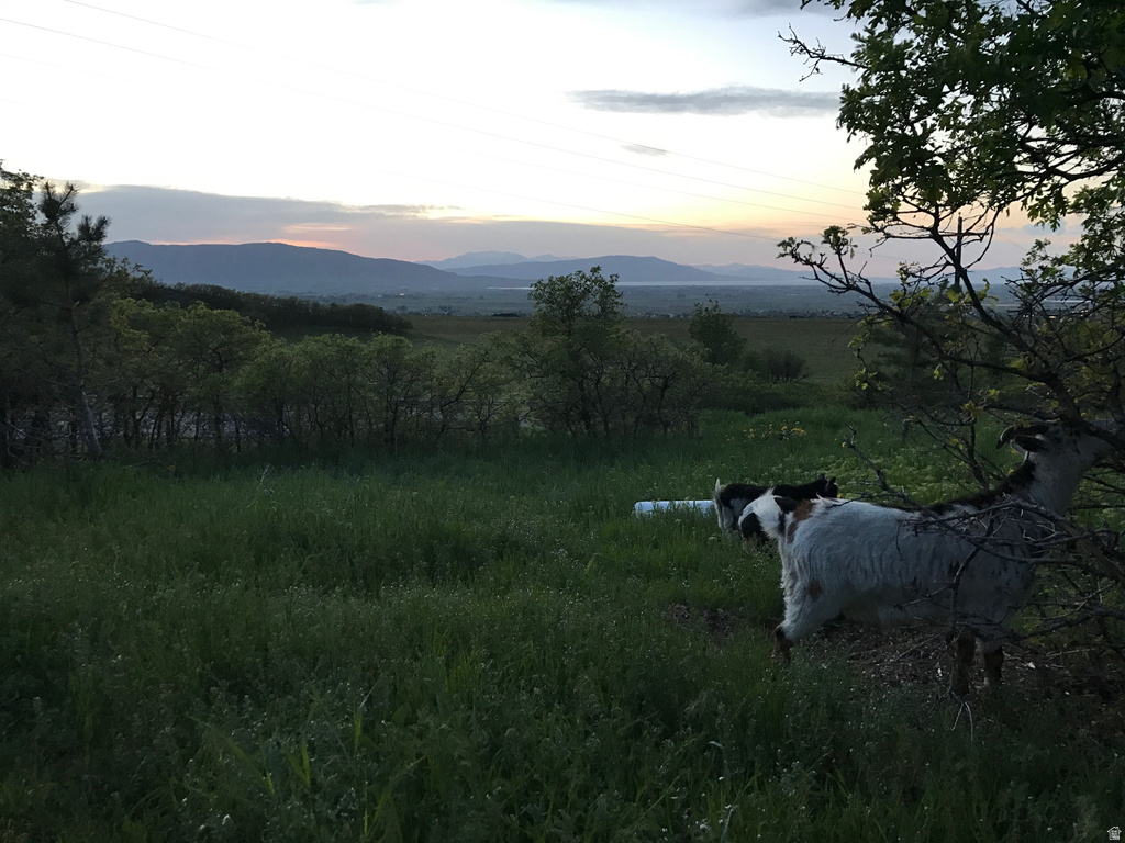 195 S OAK DR Woodland Hills, UT 84653
