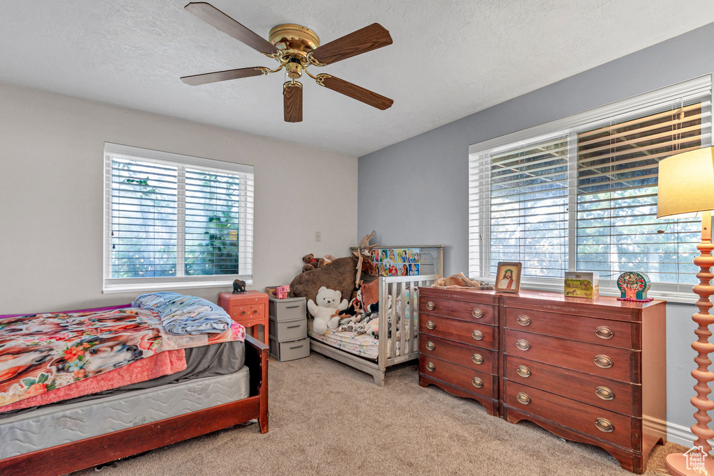 Photo 32 for MLS #2118076 at 195 S Oak Dr