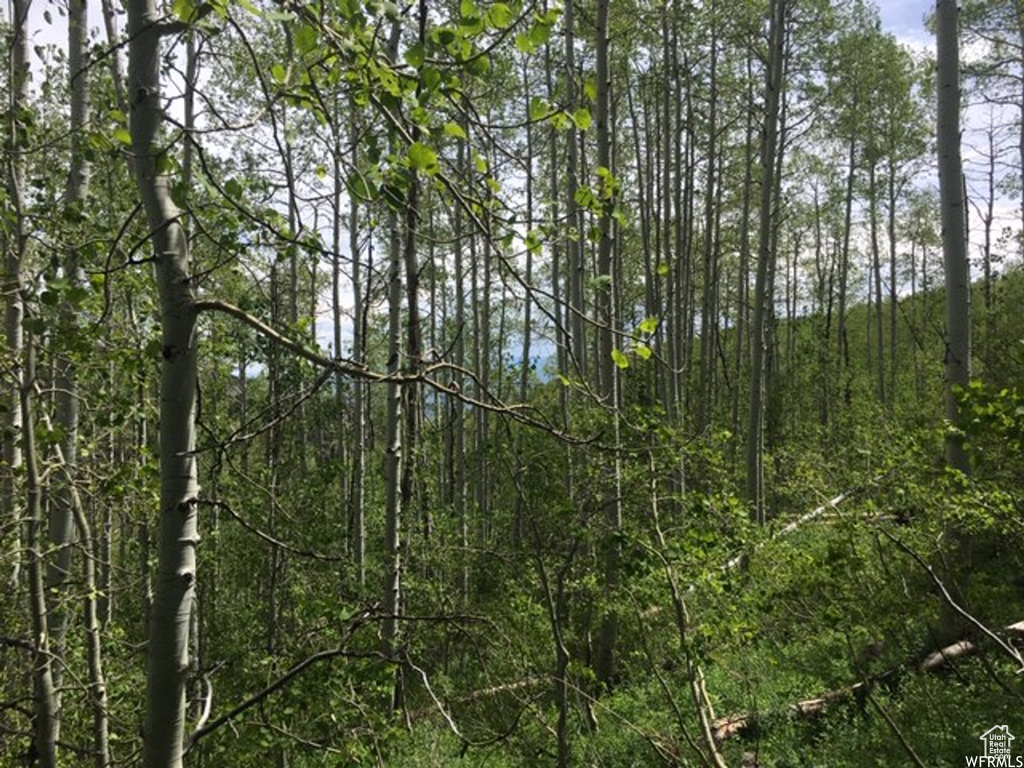 2183  ASPEN DR Coalville, UT 84017