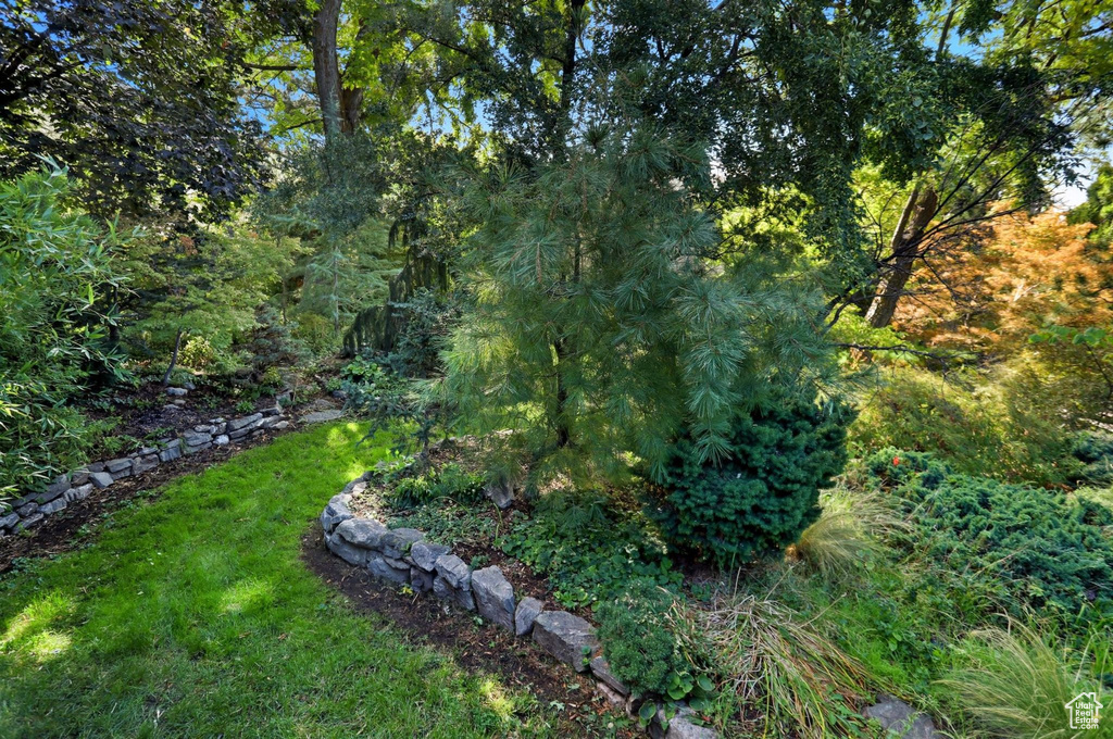 Photo 45 for MLS #2118128 at 1657 E Cherry Ln