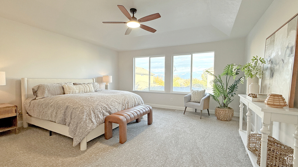 Photo 18 for MLS #2118173 at 7113 S Mantova Way