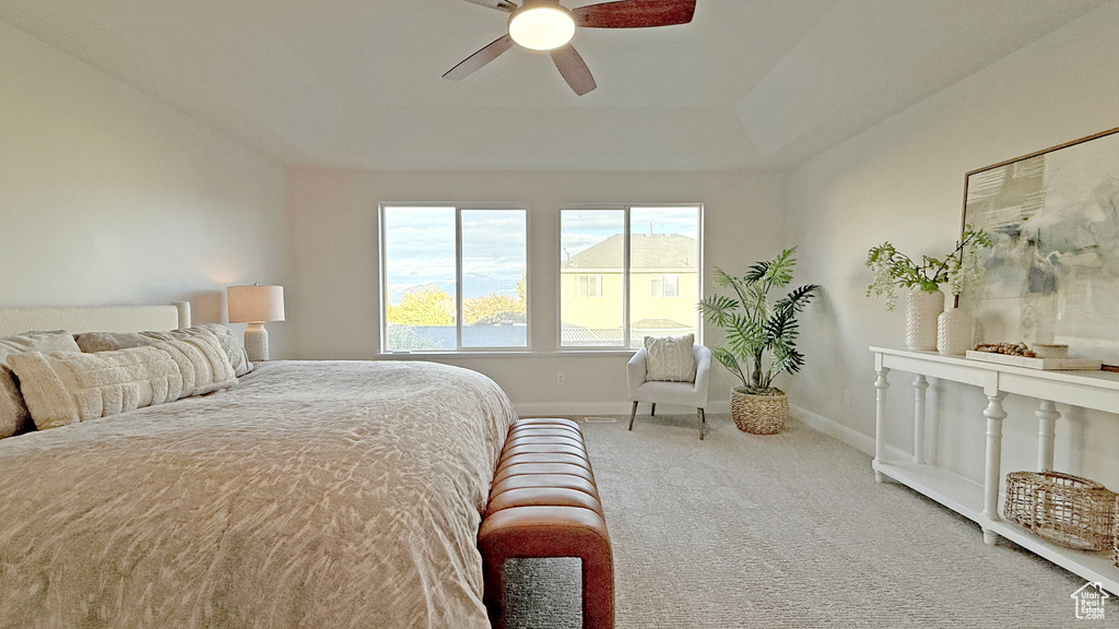 Photo 19 for MLS #2118173 at 7113 S Mantova Way