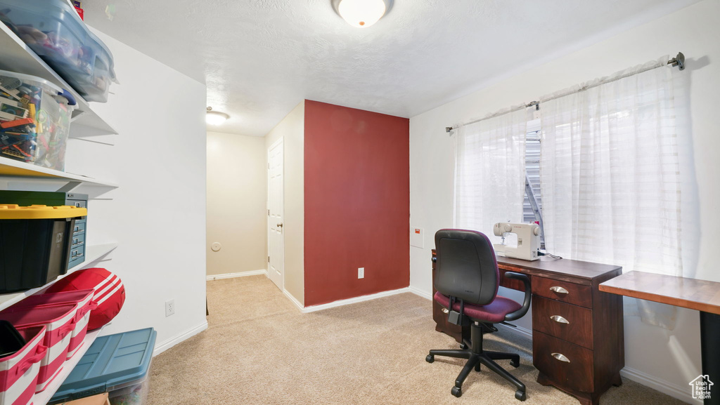 Photo 21 for MLS #2118193 at 694 E 260 South