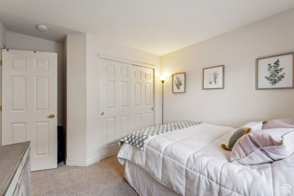 Photo 20 for MLS #2118195 at 4059 N Flanders Way