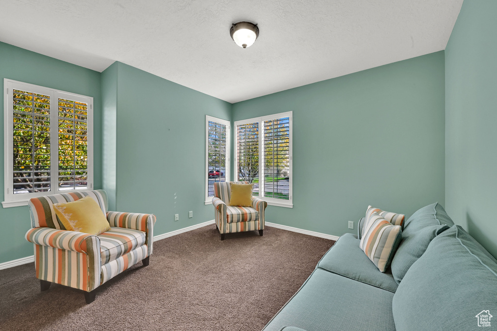 Photo 3 for MLS #2118221 at 12566 S Tithing Hill Dr