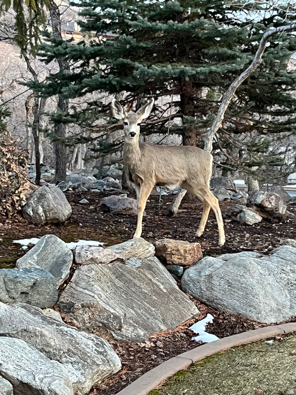 5210 SKYLINE PKWY Ogden, UT 84403