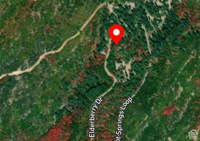 22980 N ELDERBERRY DR (14700 E) DR Fairview, UT 84629