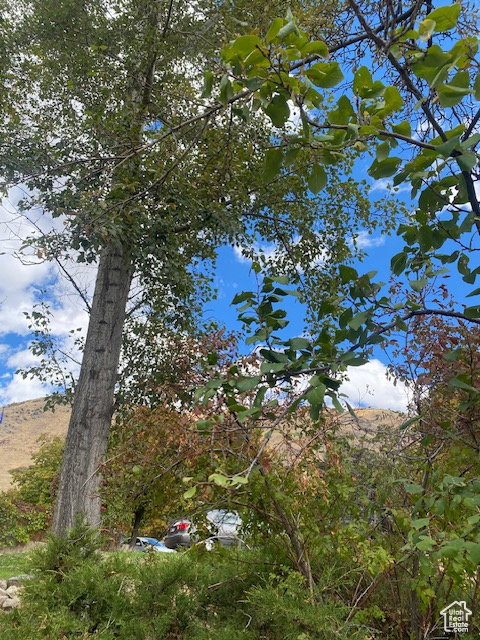 63 N 1440 E Springville, UT 84663