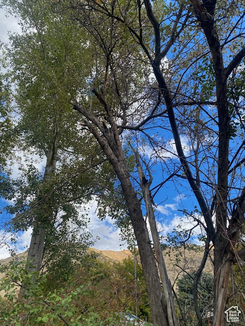 63 N 1440 E Springville, UT 84663