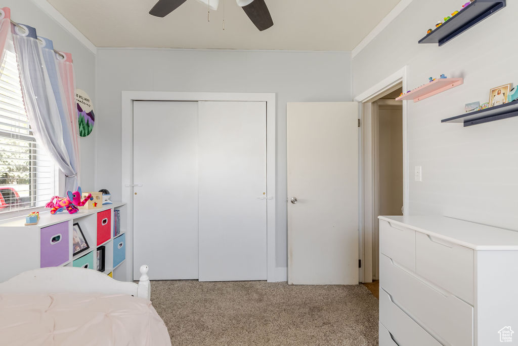 Photo 13 for MLS #2118264 at 134 W Center St