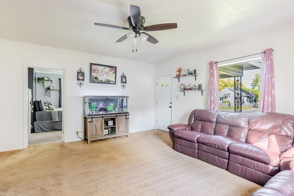 Photo 5 for MLS #2118264 at 134 W Center St