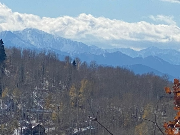 1839 W Valley Vista Dr