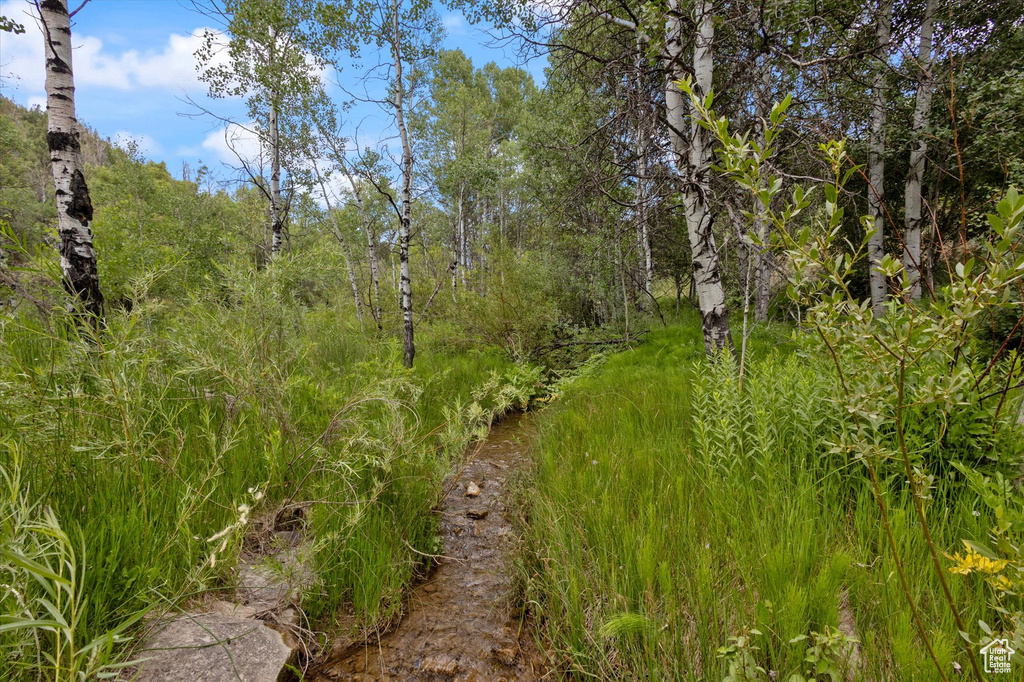 Photo 20 for MLS #2118326 at 19845 N 14070 (north Fork Rd) Rd #313